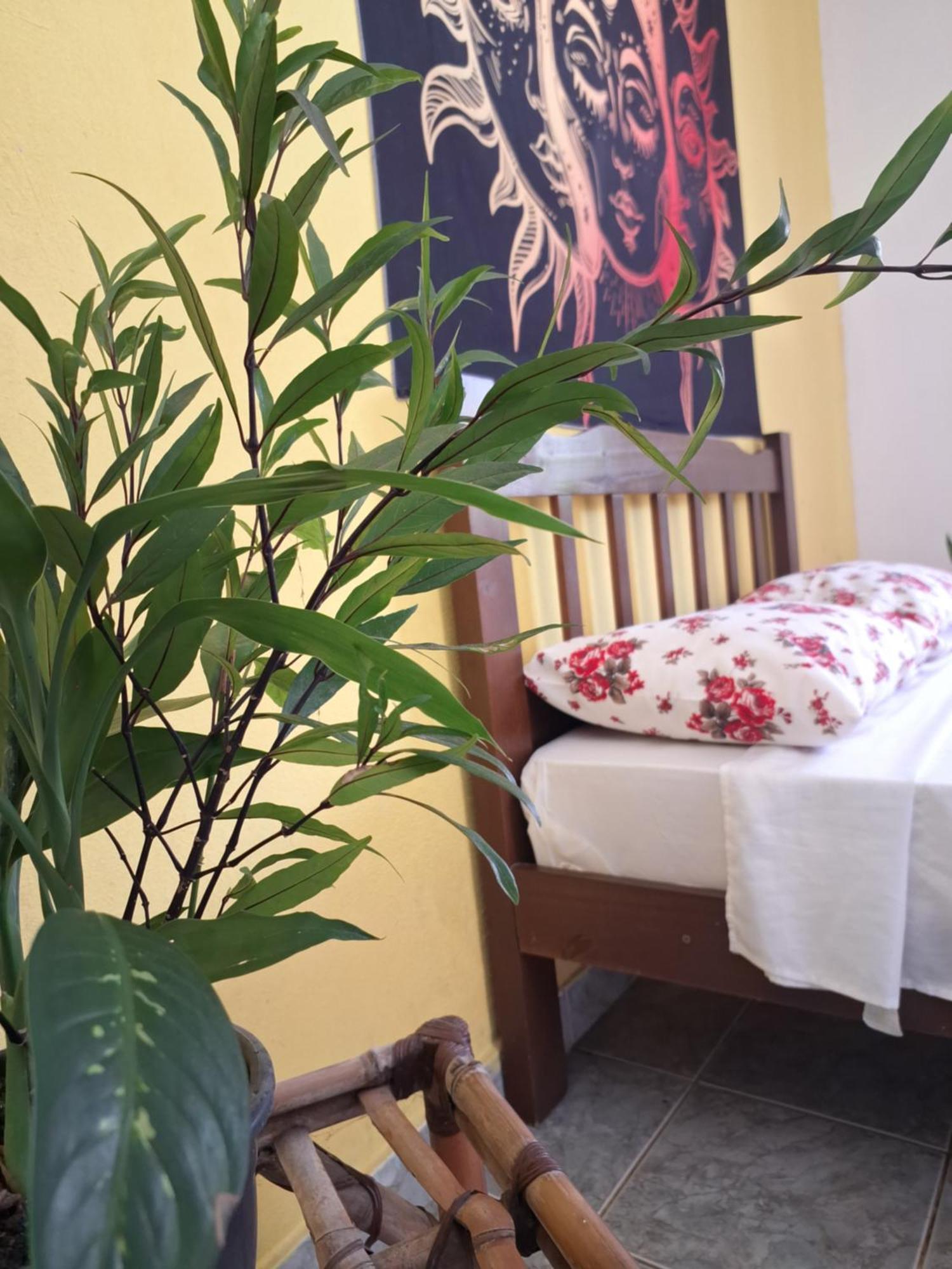 Renovo Beija-Flor Hostel E Espaco Terapeutico Bertioga Eksteriør bilde
